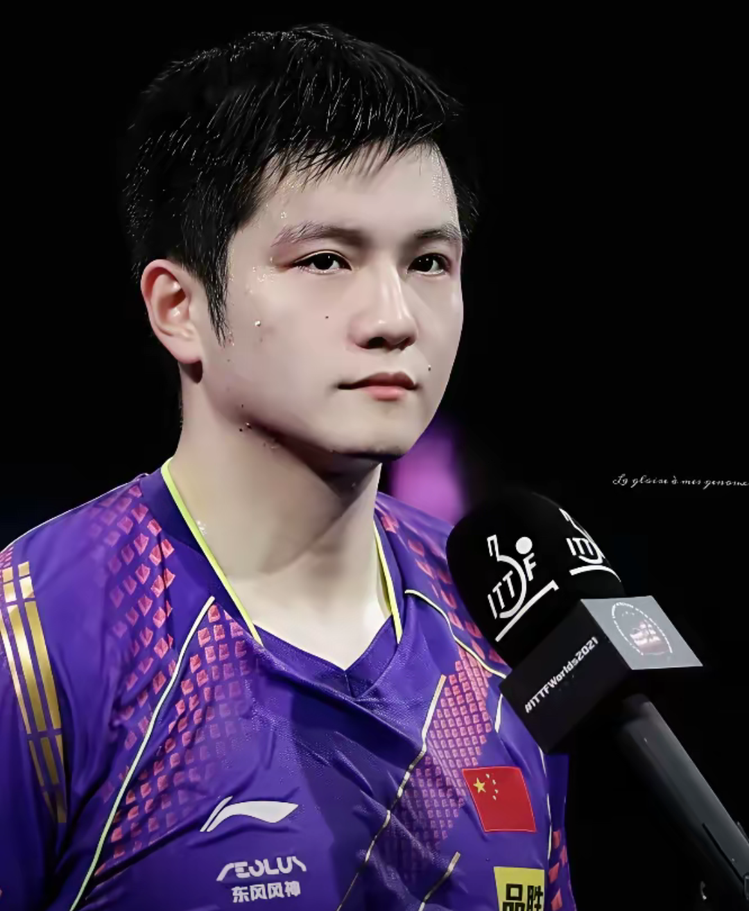 波兰队力克英格兰队，樊振东状态火热