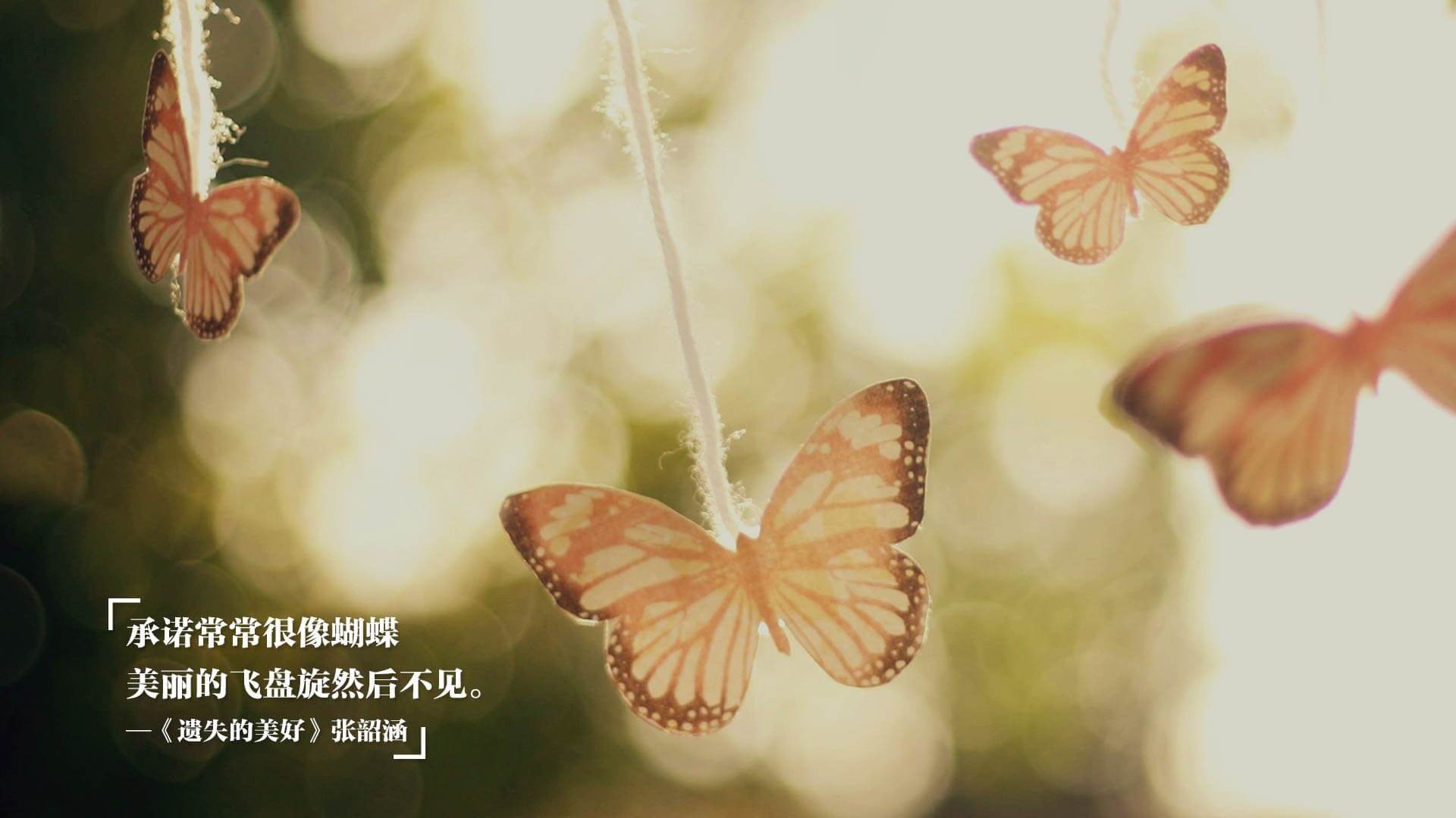 英超争冠之夜,加克波关键回合不手软,红军绝境中点燃希望