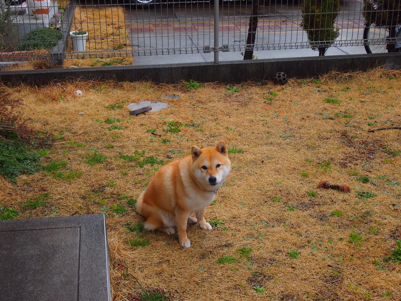 赛道与球场,速度与力量的跨界交响