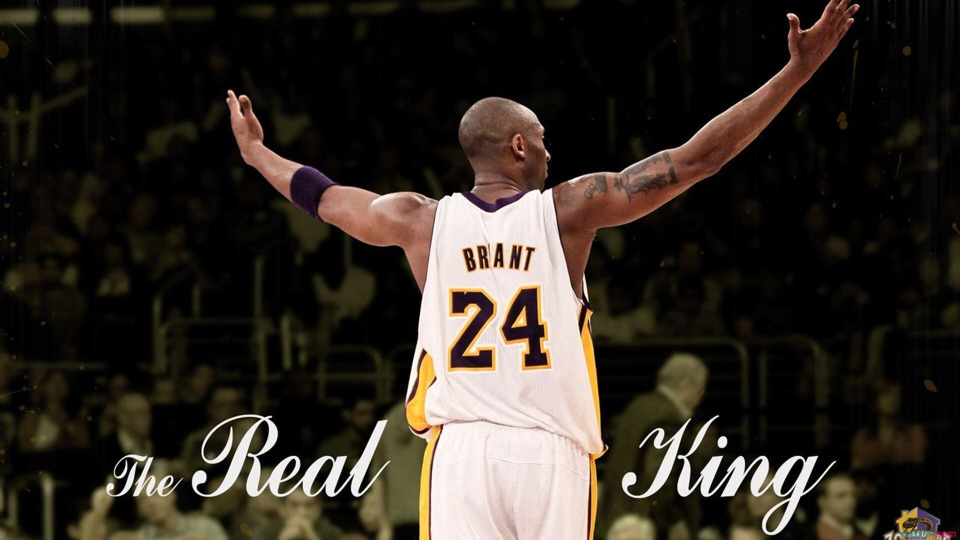 哈兰德持续制造杀伤，智利一波带走多特蒙德，南美风暴如何撕裂德甲防线